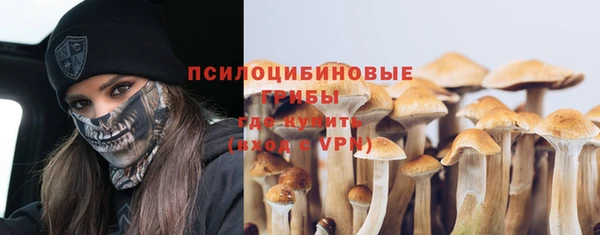 дживик Волоколамск